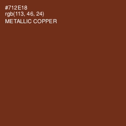 #712E18 - Metallic Copper Color Image